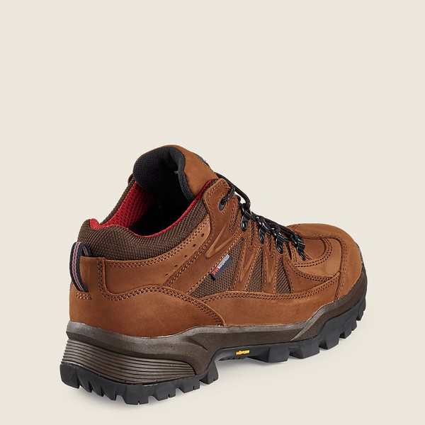 Vandrestøvler Herre - Red Wing Truhiker - 3-Inch Waterproof Safety Toe - Brune - TOSHVB-851